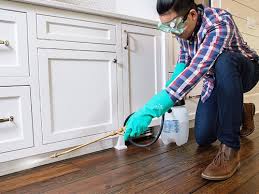 Real Estate Pest Inspections in Forest Hills, MI